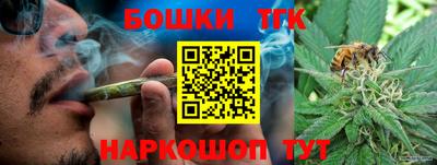 гашик Шебекино