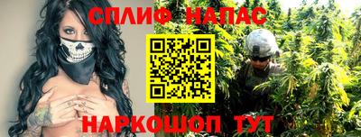гашик Шебекино