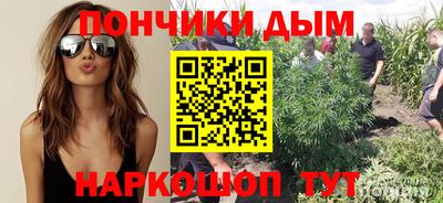 гашик Шахты